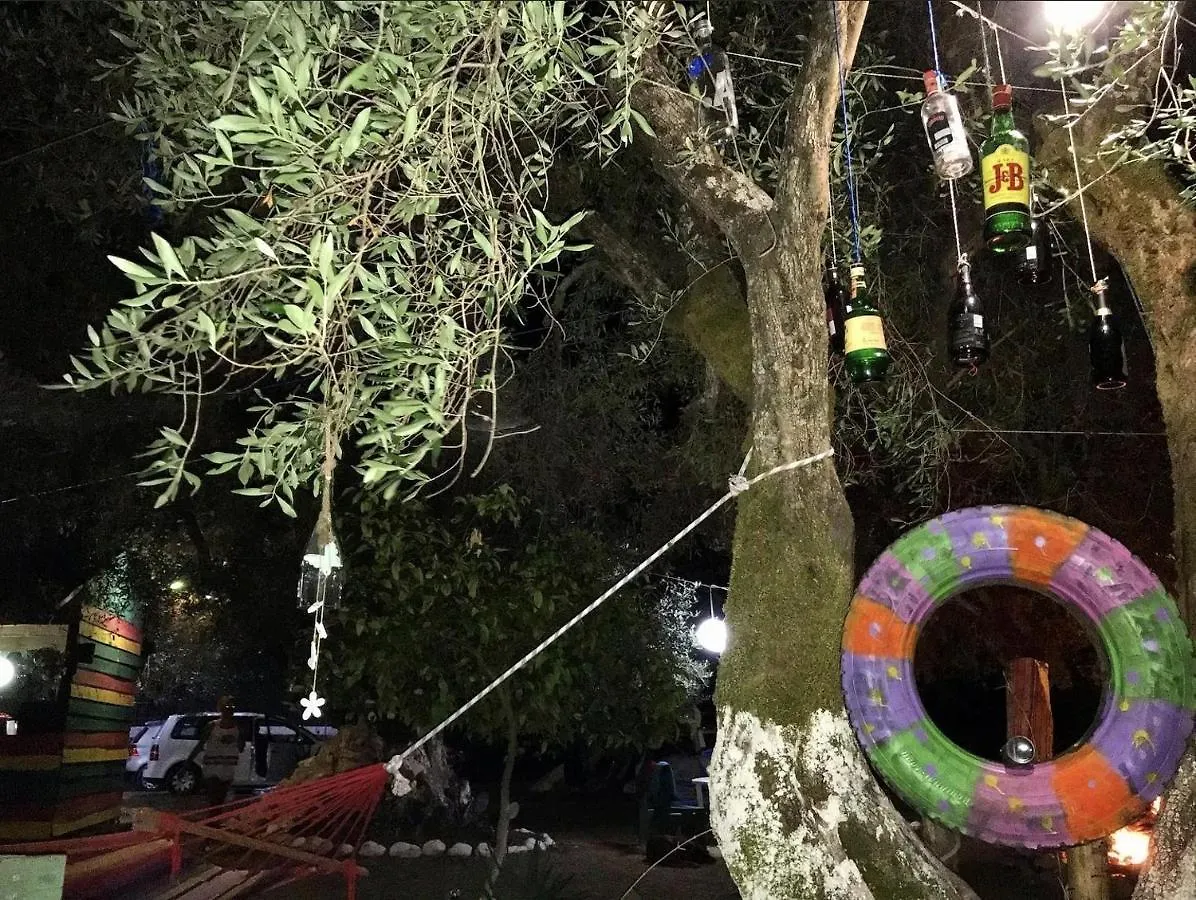 营地 Vuno Camping, Jale Al 阿尔巴尼亚